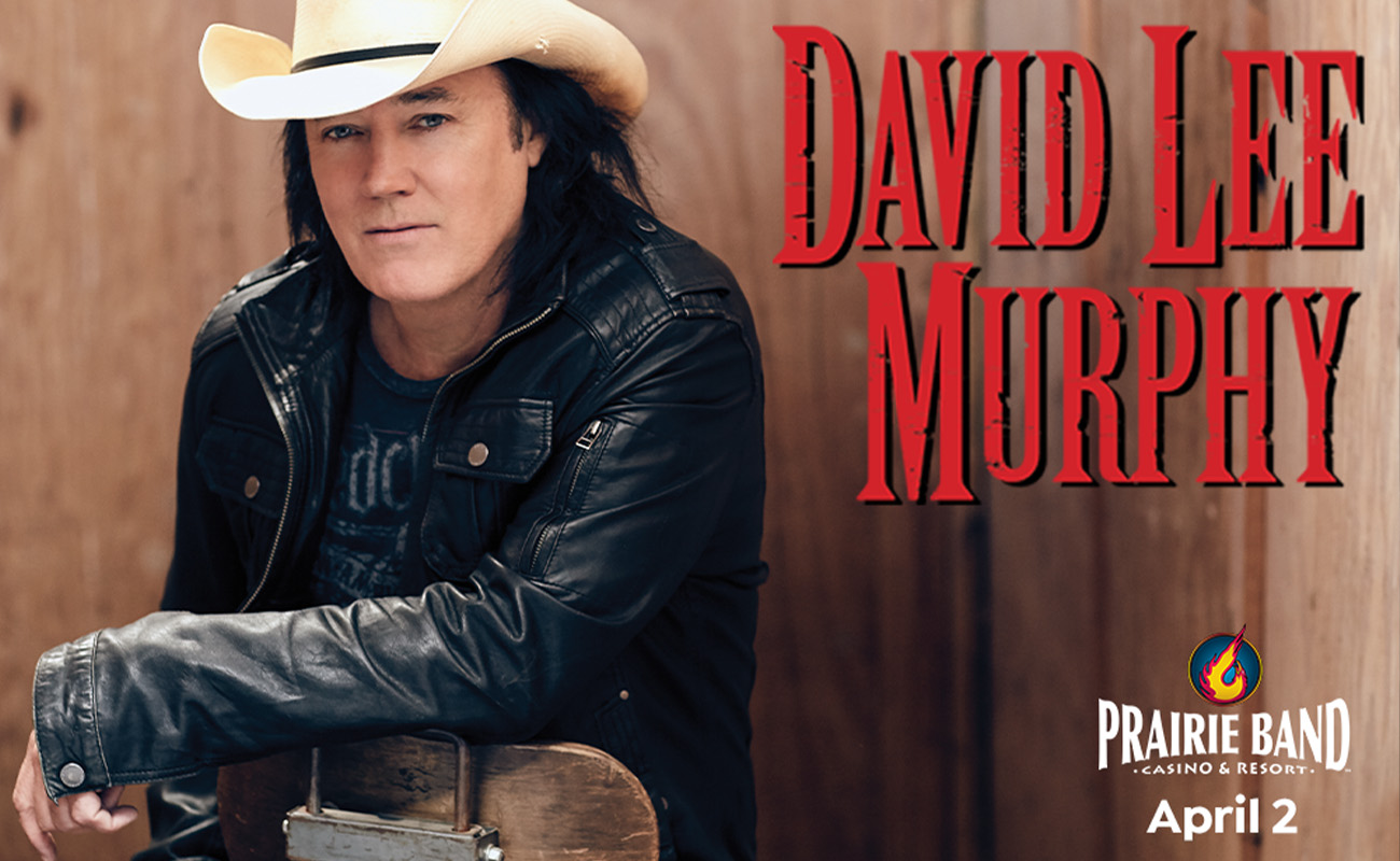 David Lee Murphy